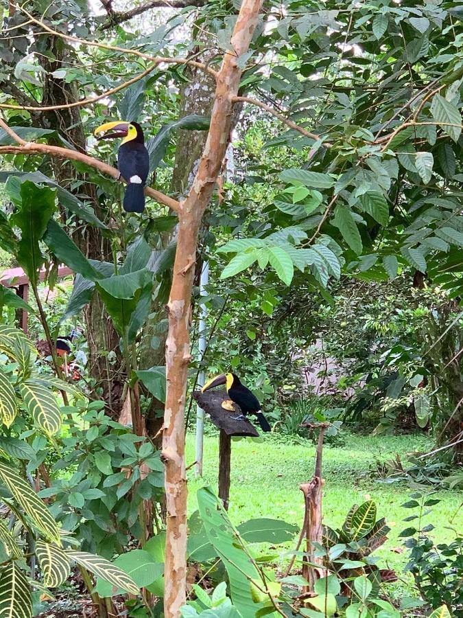 Villa Tucan La Fortuna Exteriér fotografie