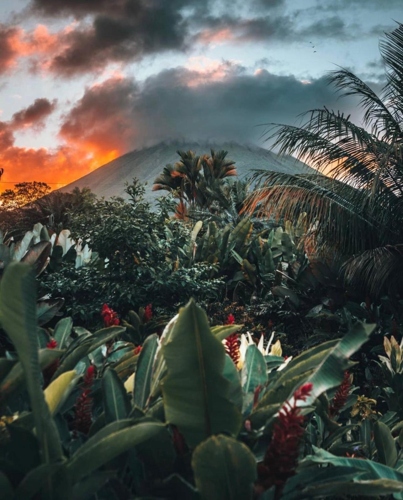 Villa Tucan La Fortuna Exteriér fotografie